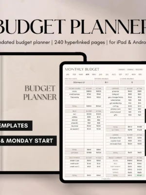 Digital Financial Budget Planner, Finance Tracker, GoodNotes Budget Planner, Undated Finance Planner, Monthly Budget, iPad Finance Template