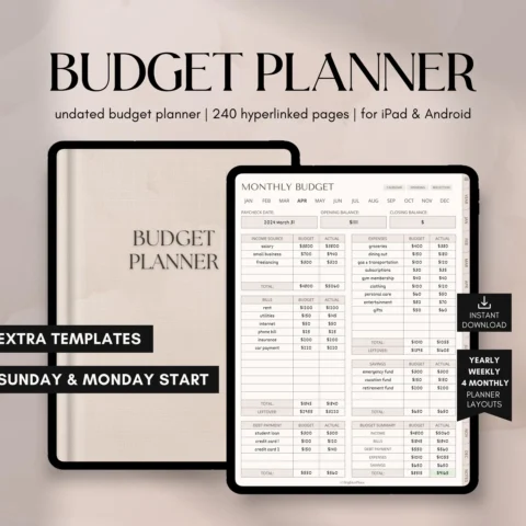 Digital Financial Budget Planner, Finance Tracker, GoodNotes Budget Planner, Undated Finance Planner, Monthly Budget, iPad Finance Template